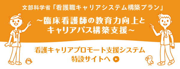 看護キャリアプロモート支援システム開発